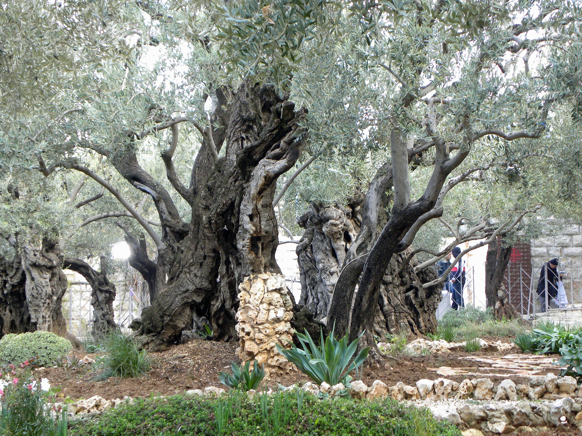 Pellegrinaggi Terra Santa jerusalem