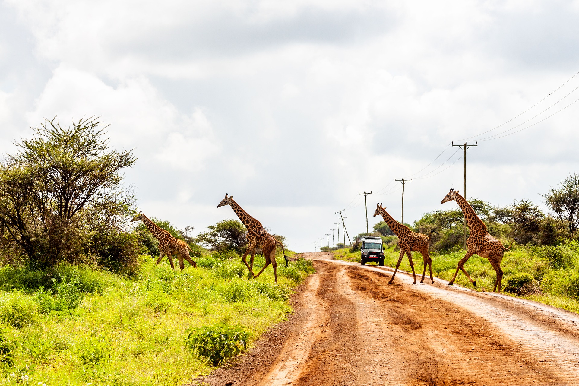 kenya