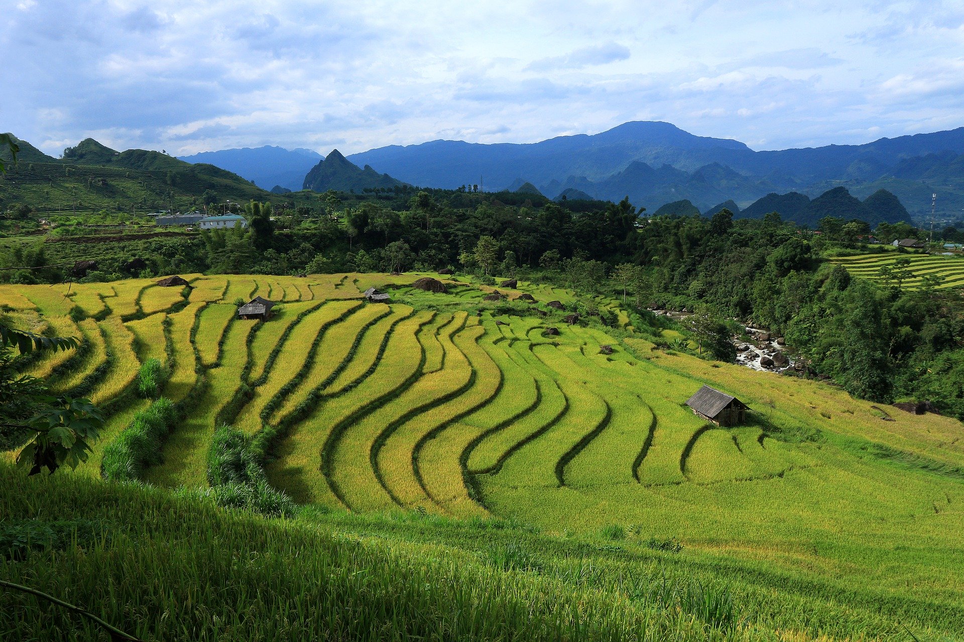 Le perle del vietnam